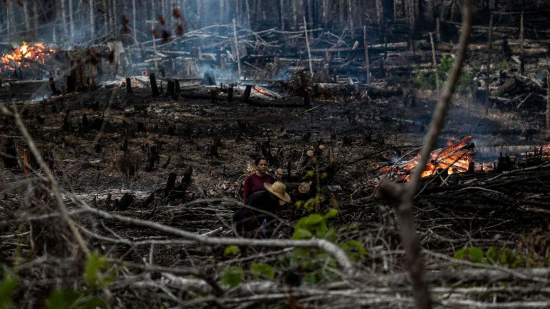 Fotografía de archivo de personas prendiendo fuego en un área boscosa en Careiro Castanho, Amazonas (Brasil).